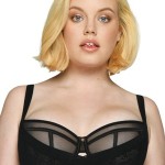 Dámská podprsenka Curvy Kate ST4901 34 DD Černá